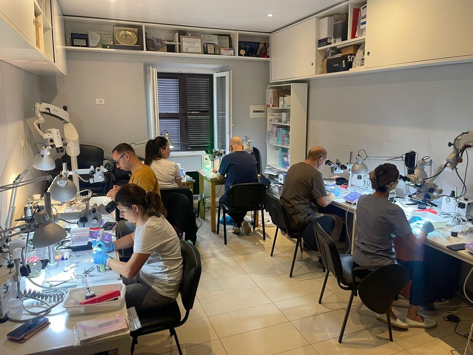 Participants practising with operating microscopes